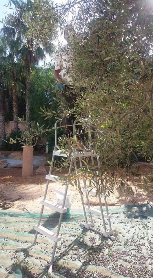 Maison D'Hotes Dar Salma Sfax Exterior foto